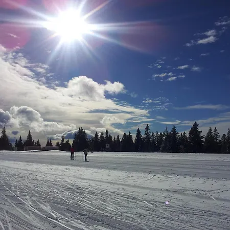 Apartma Rogla Gaber 109