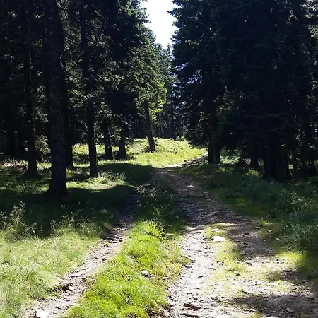 Apartma Rogla Gaber 109 * Zrece