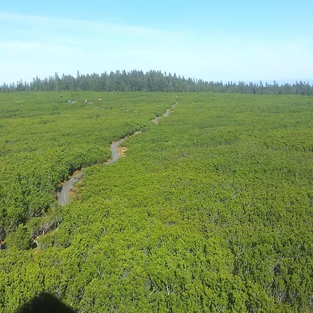 Apartma Rogla Gaber 109 * Zreče